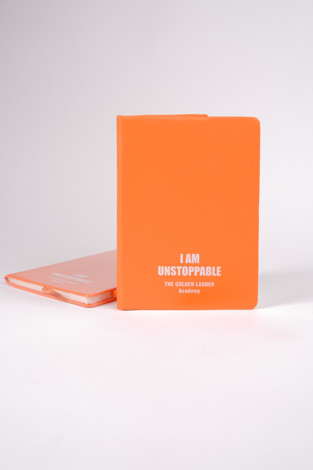 MANIFESTING THE DESTINY NOTE PAD