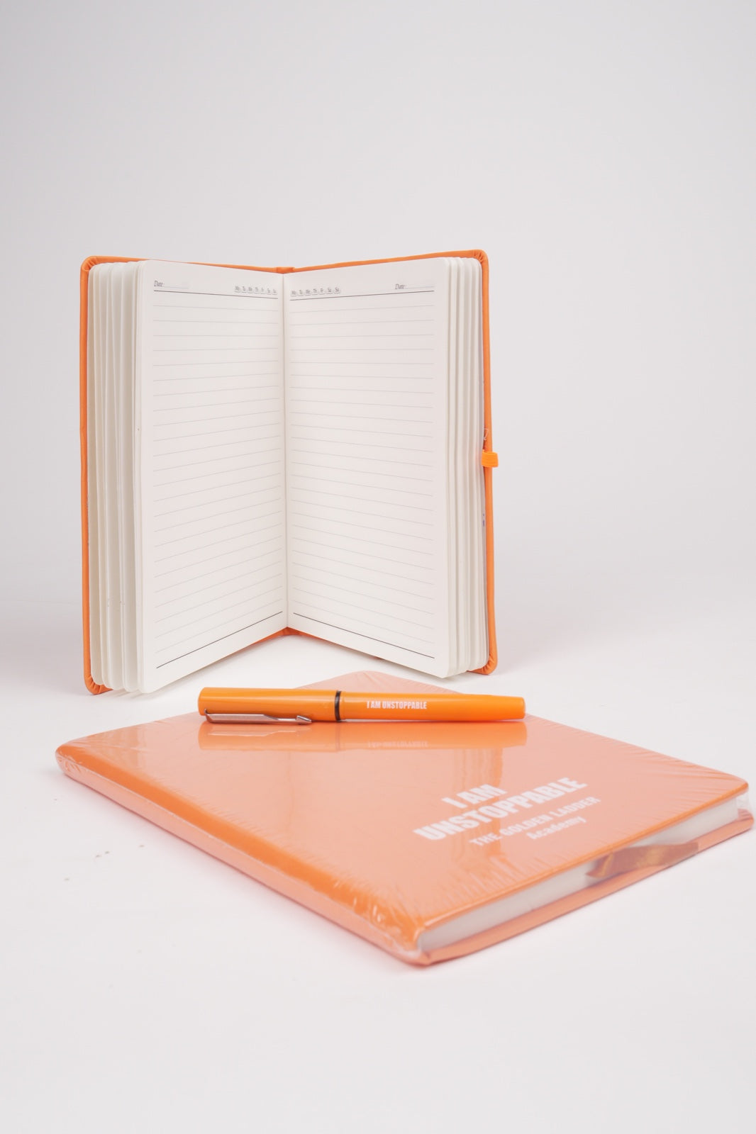 MANIFESTING THE DESTINY NOTEPAD CUM PENS (COMBO)